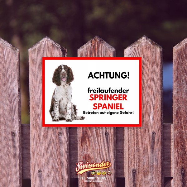 SchildFrei_SpringerSpaniel2