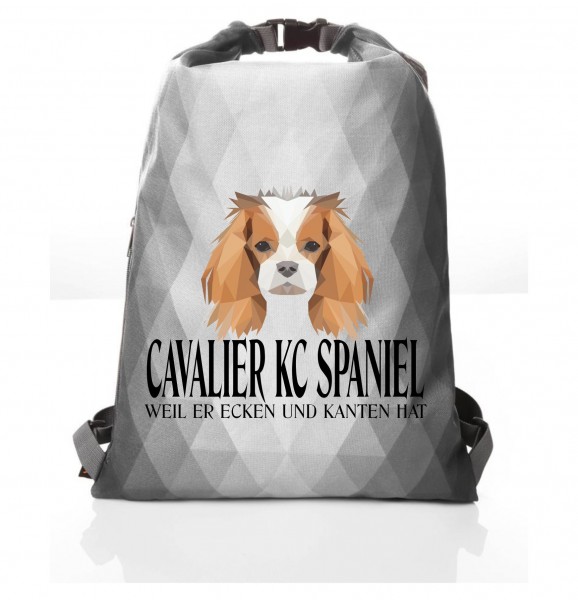PBAGPoly_CavalierKCSpaniel