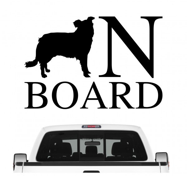 ABoard_BorderCollieB