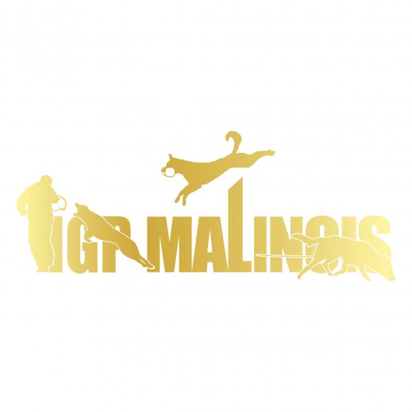 Aufkleber Hundemotiv Rasse IGP IPO Begleithund Prüfung Internationale Prüfungsordnung Gebrauchshudeprüfung Fährte Schutzdi