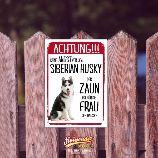 SchildZaun_SibHusky1