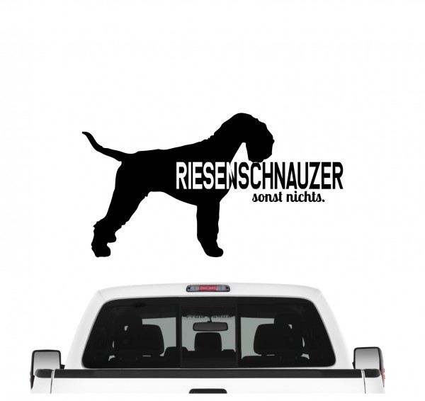 SN_RiesenschnauzerB5e9e8801d7ef4