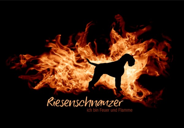 UTFlamme_RiesenschnauzMo