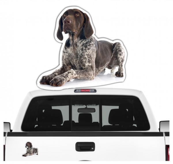 Deutsch Kurzhaar DK Deutscher kurzhaariger Vorstehhund German Shorthaired Pointer Jagdhund Jäger Bayern Dog Pfoten Digitaldruck Motiv by SIVIWONDER