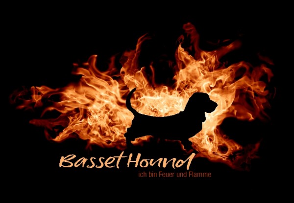 UTFlamme_BassHoundMo