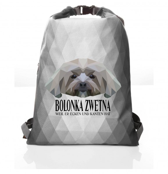 PBAGPoly_BolonkaZwetna