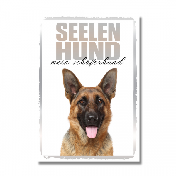 SeeleR_DeutSch-ferhund1614095b1b3cc0
