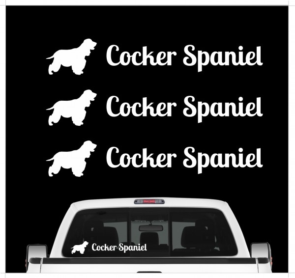 A_3er_CockerSpanielW