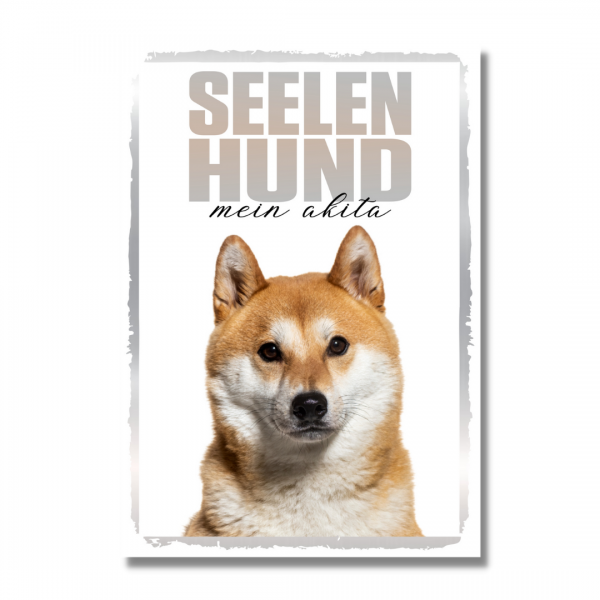 SeeleR_AkitaInu1