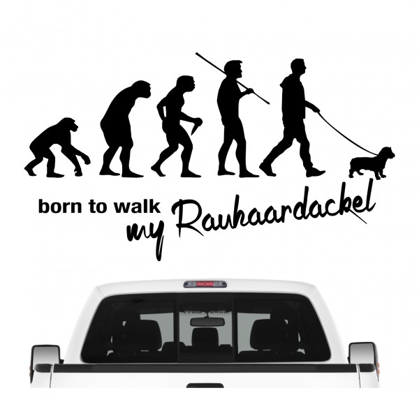 Rauhaardackel Dackel Teckel Dachshund Rauhhaardackel Evolution Born to Walk Hunde Aufkleber Sticker Autoaufkleber Wandtattoo Tattoo