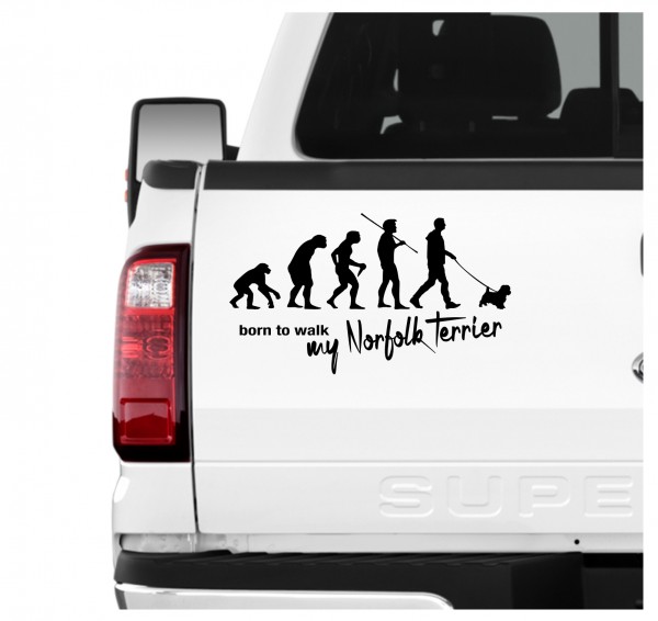Norfolk Terrier Norfork Evolution Born to Walk Hunde Aufkleber Sticker Autoaufkleber Wandtattoo Tattoo