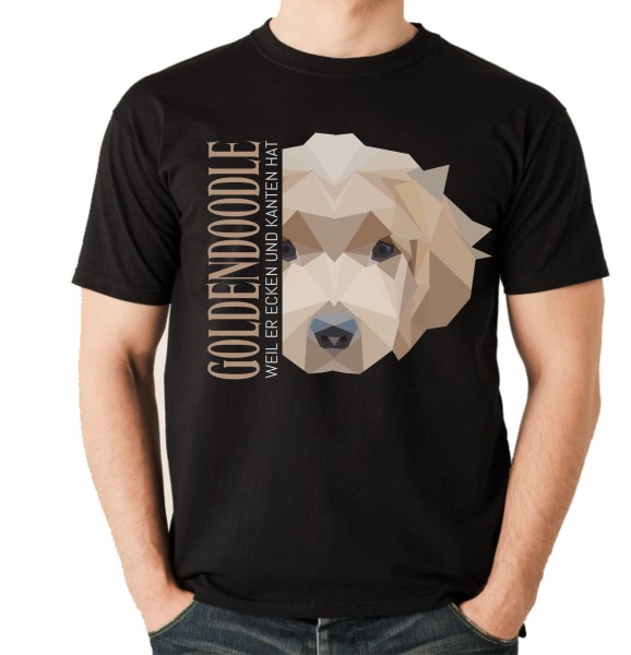 UTPoly_GodelndoodleB