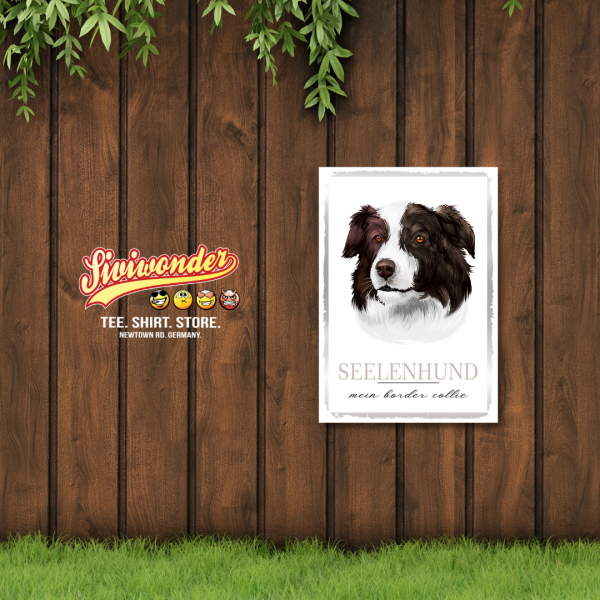 SeeleW_BorderCollie2