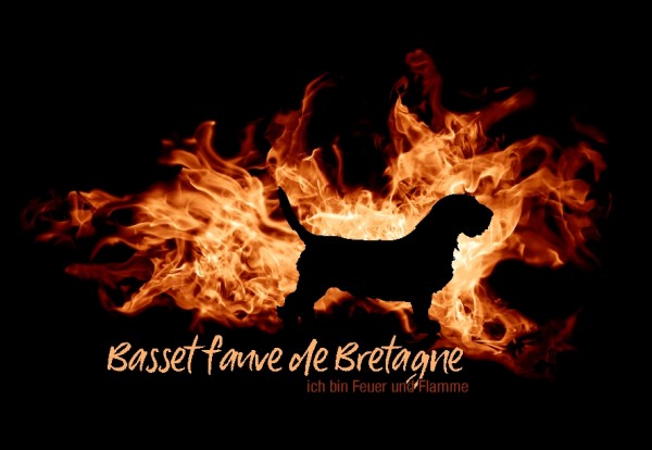 UTFlamme_fauveBretaMo