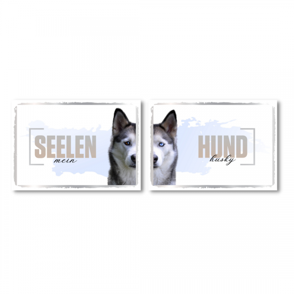SeeleD_Husky1
