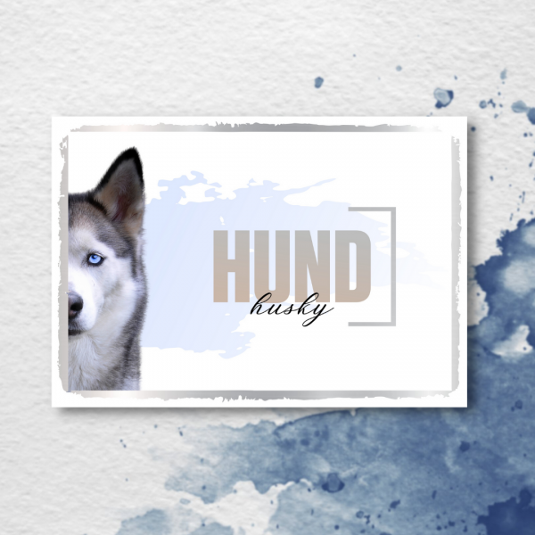 SeeleD_Husky3