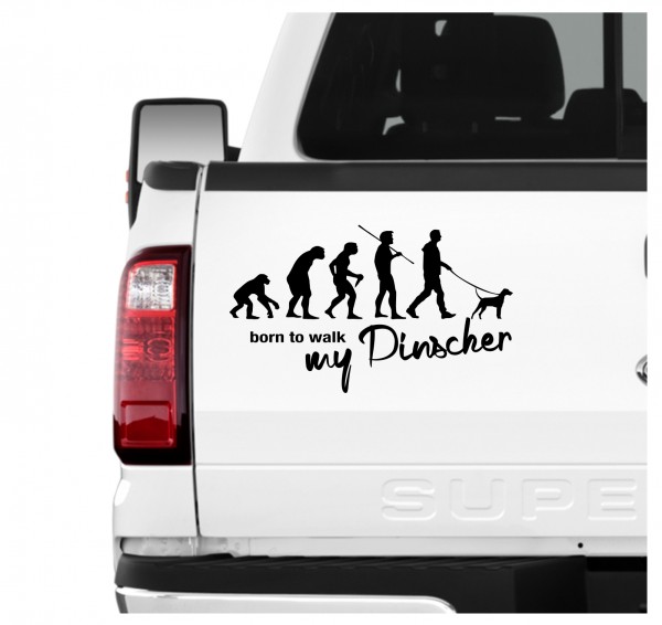 Pinscher Zwergpinscher Min Pin Miniature Evolution Born to Walk Hunde Aufkleber Sticker Autoaufkleber Wandtattoo Tattoo