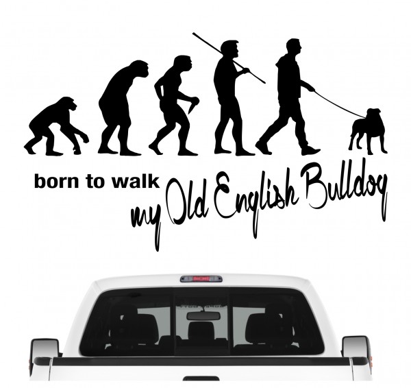 Old English Bulldog OEB Olde Englische Bulldogge Evolution Born to Walk Hunde Aufkleber Sticker Autoaufkleber Wandtattoo Tattoo