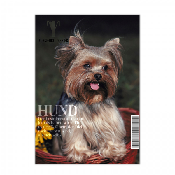 SchildMagazin_Yorkie1