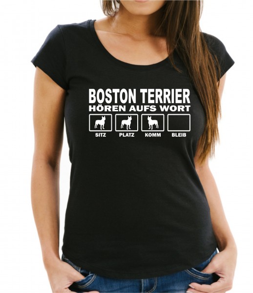 WTHAWBostonTerrierB