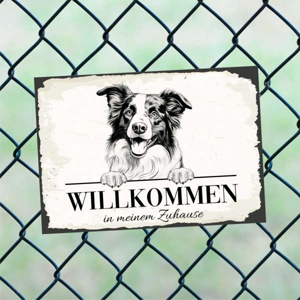 Hundeschild Willkommen Zuhause Border Collie Schild