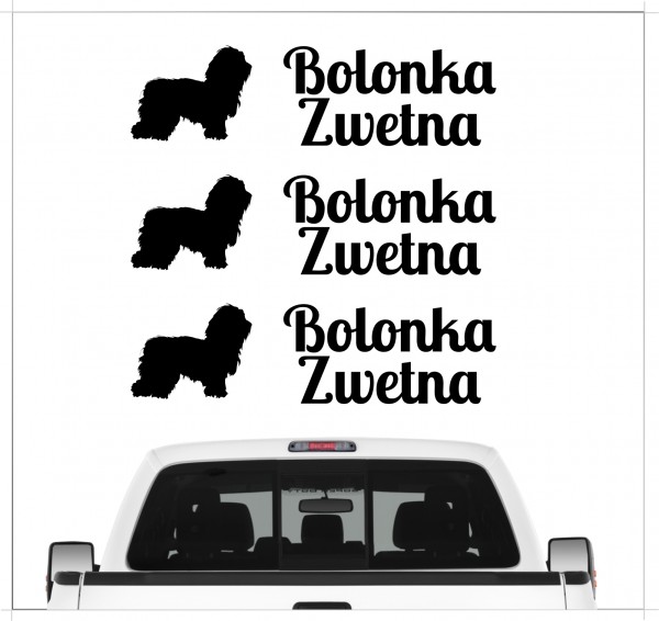 Bolonka Zwetna Tsvetnaya Russischer Hund Dog 3er Set AUTOAUFKLEBER Aufkleber Hunde Hundemotiv by SIVIWONDER