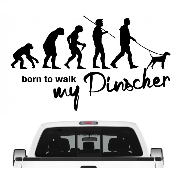 Pinscher Zwergpinscher Min Pin Miniature Evolution Born to Walk Hunde Aufkleber Sticker Autoaufkleber Wandtattoo Tattoo