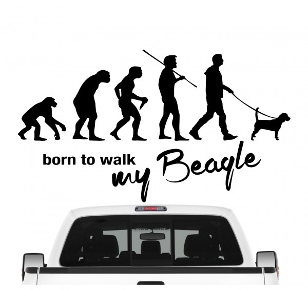 Beagle English Beagle Evolution Born to Walk Hunde Aufkleber Sticker Autoaufkleber Wandtattoo Tattoo