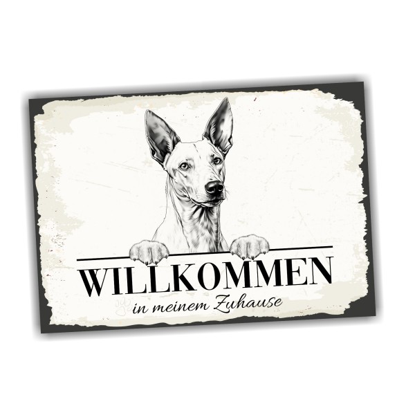 Hundeschild Willkommen Zuhause Podenco Ibicenco Schild Achtung Spruch