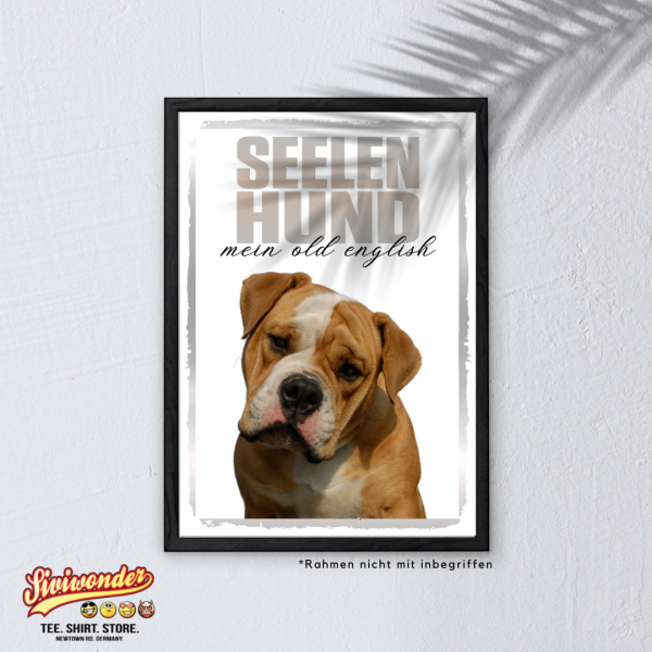 SeeleR_OldEngBulldog3