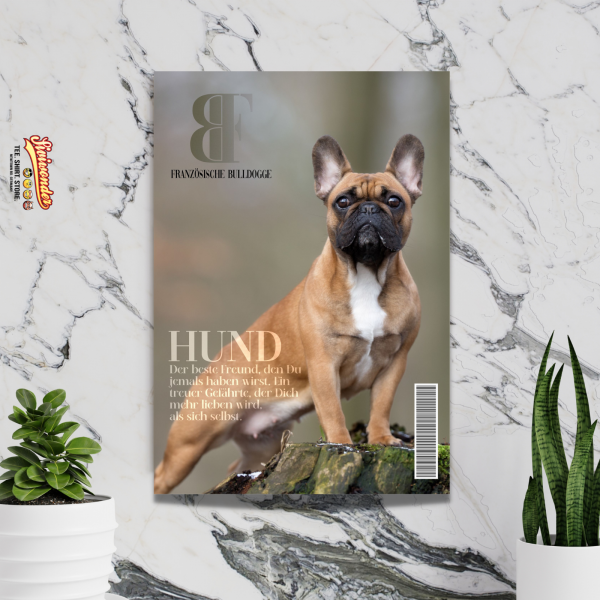 SchildMagazin_FrenchieSt2