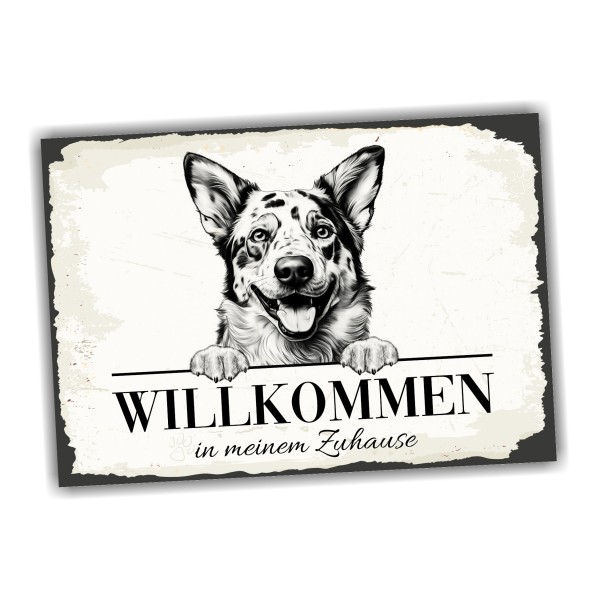 Hundeschild Willkommen Zuhause Australian Cattle Dog Schild