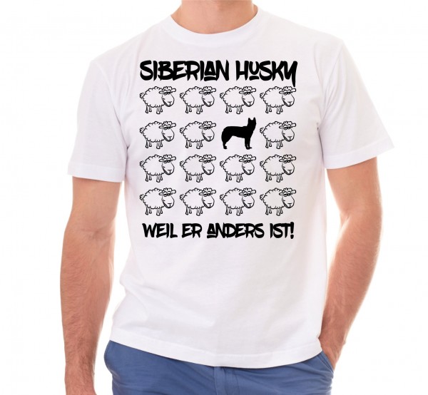 T_Sheep_SiberianHuskyW