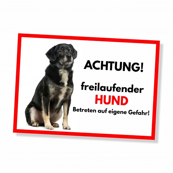 SchildFrei_Hund3_1