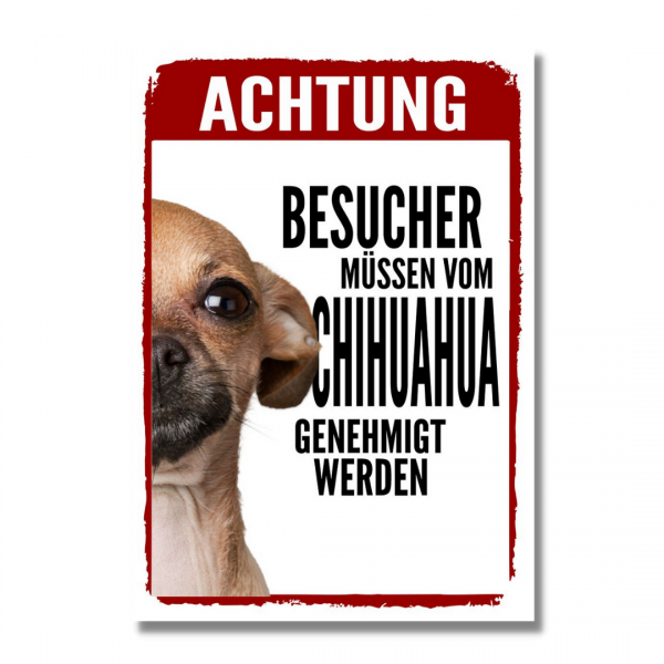 Genehmigung_Chihuahua1