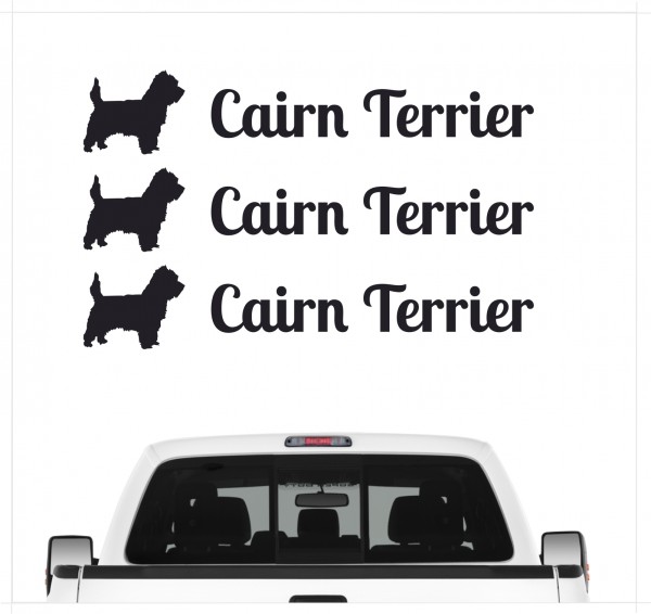 A_3er_CairnTerrierB