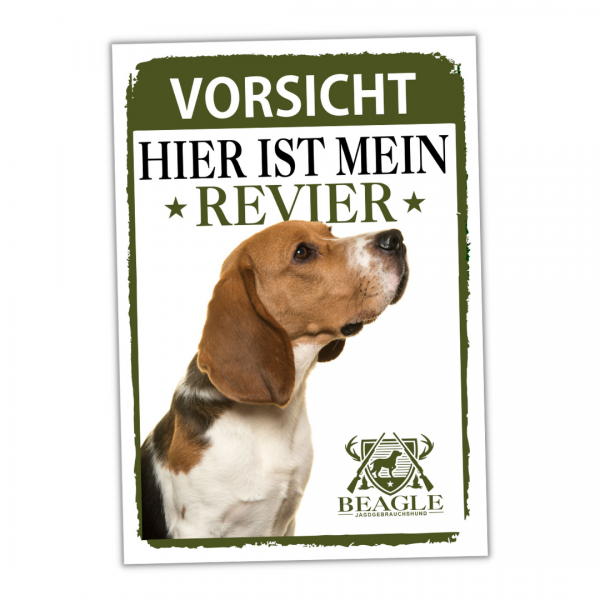SchildRevier_Beagle1