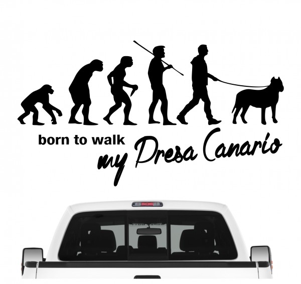 Presa Canario Perro Molosser Kanarische Dogge Presa Canario Evolution Born to Walk Hunde Aufkleber Sticker Autoaufkleber Wandtattoo Tattoo