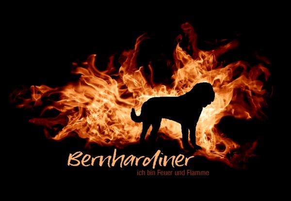 UTFlamme_BernhardinerMo