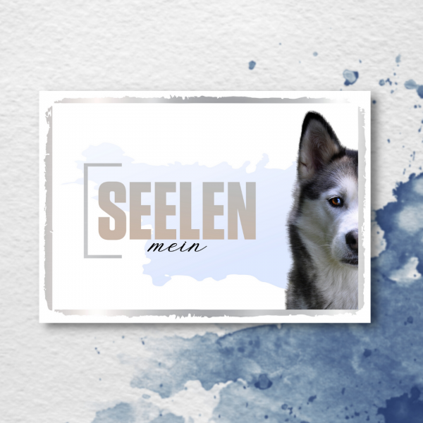 SeeleD_Husky2