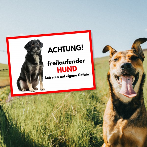 SchildFrei_Hund3_2