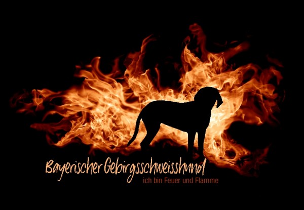 UTFlamme_BayGebirgsSchMo