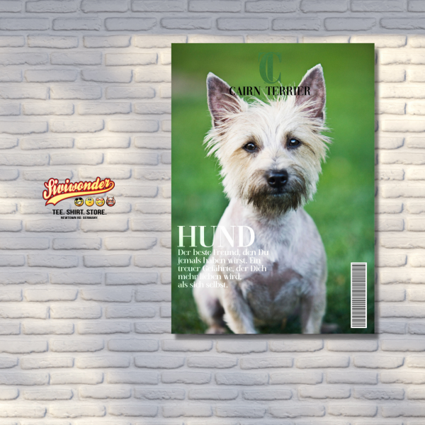 SchildMagazin_CairnTerrier3