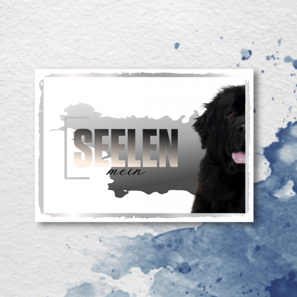 SeeleD_Neufundl-nder2