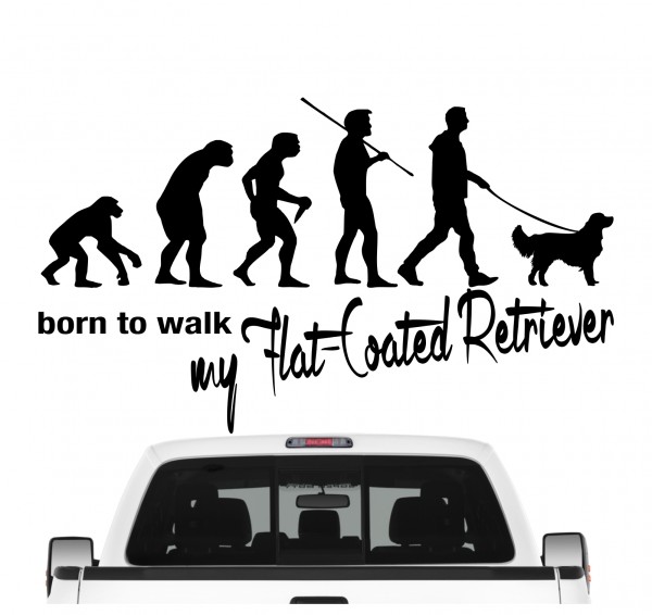 AEVO_FlatCoatedRetrieverB5e7c47ce8f5e3