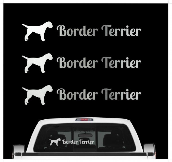 A_3er_BorderTerrierS