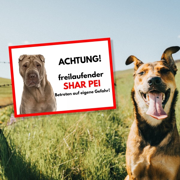 SchildFrei_SharPei1