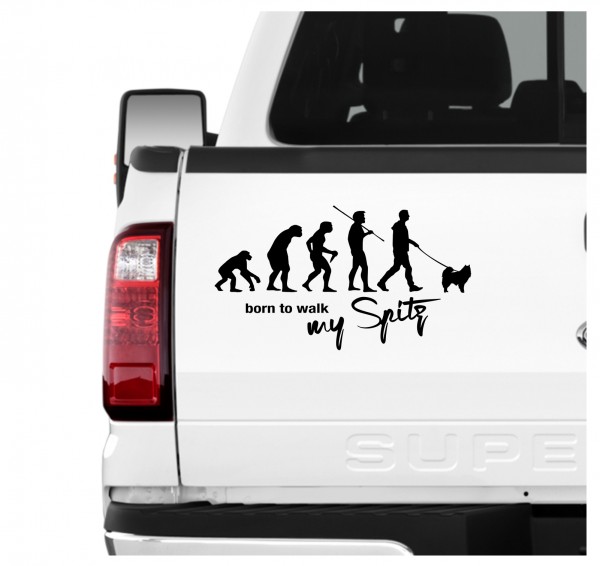 Spitz Spitze deutsche Zwergspitz Evolution Born to Walk Hunde Aufkleber Sticker Autoaufkleber Wandtattoo Tattoo