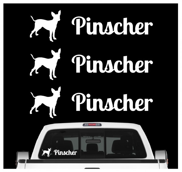 Pinscher Zwergpinscher Min Pin Miniature Dog 3er Set AUTOAUFKLEBER Aufkleber Hunde Hundemotiv by SIVIWONDER