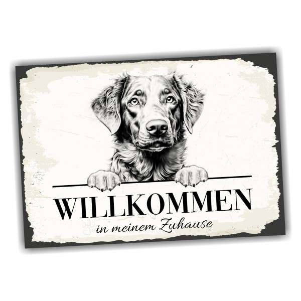 Hundeschild Willkommen Zuhause Chesapeake Bay RetrieverSchild Achtung
